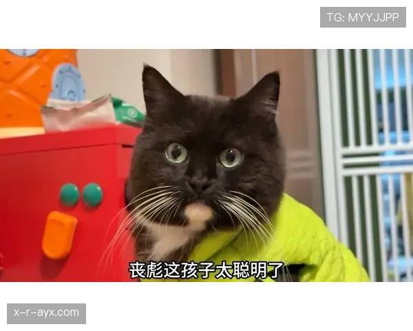 迪巴拉赛场上像王者，家里却偷偷养起豪猫？这反差我服！